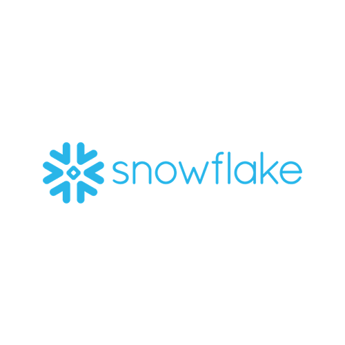 677b95b2f8385d949352d80f_Snowflake-p-500